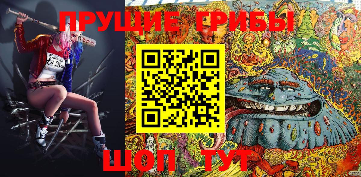 Галлюциногенные грибы Psilocybe  Вход с VPN  Котлас 